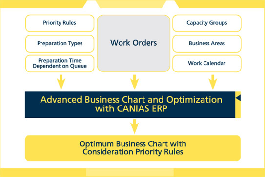 CANIAS ERP - CAP